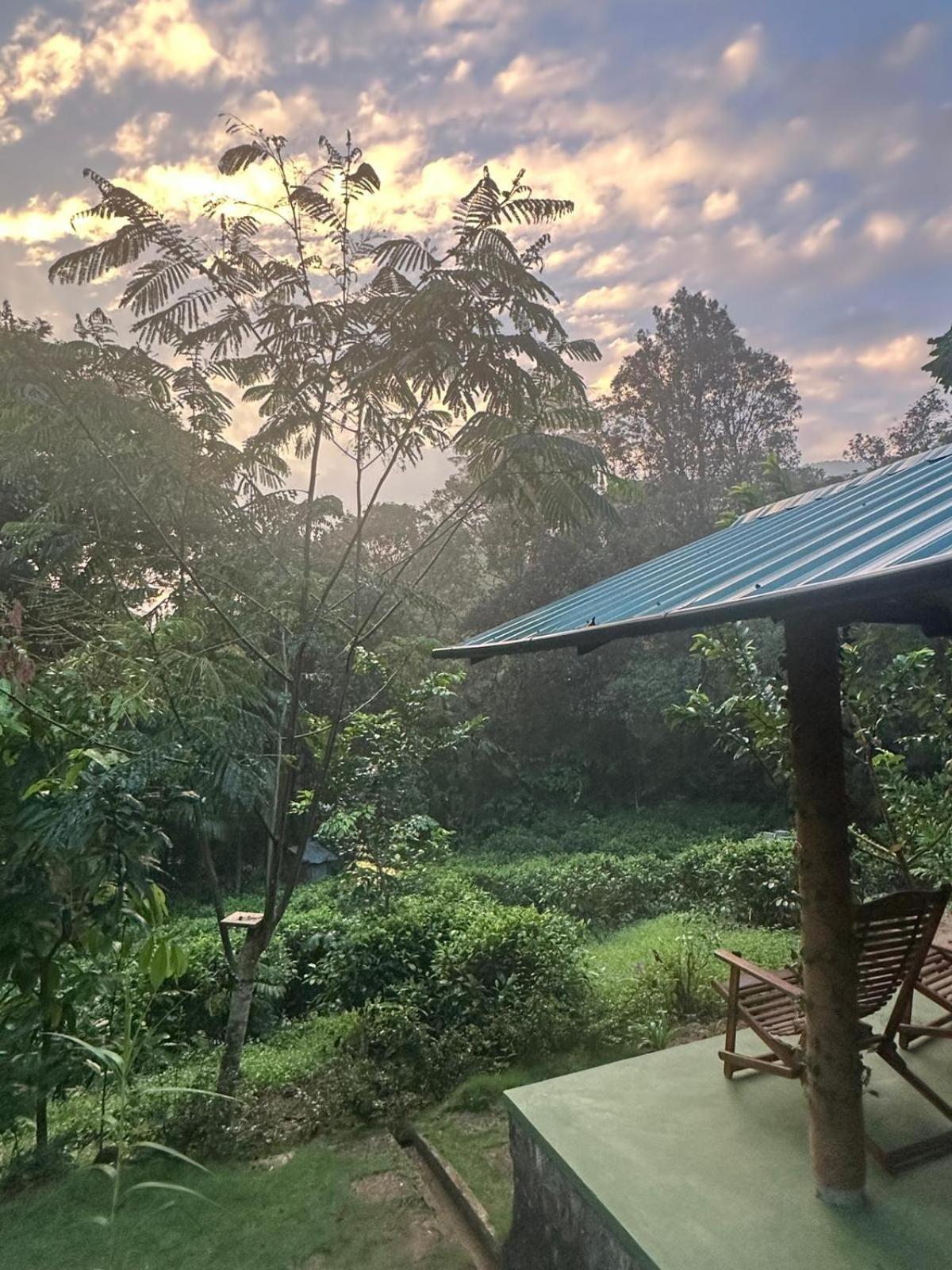 Rainforest Cabin Deniyaya Zimmer foto